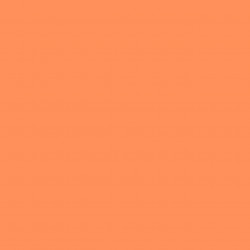 Спортивное покрытие Tarkett Omnisports Action 65 Orange